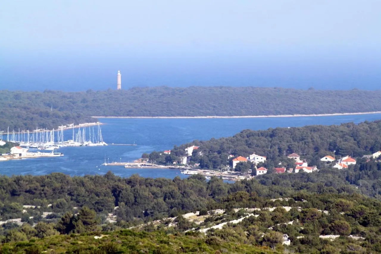Apartment Verunic 8103A Veli Rat Croatia